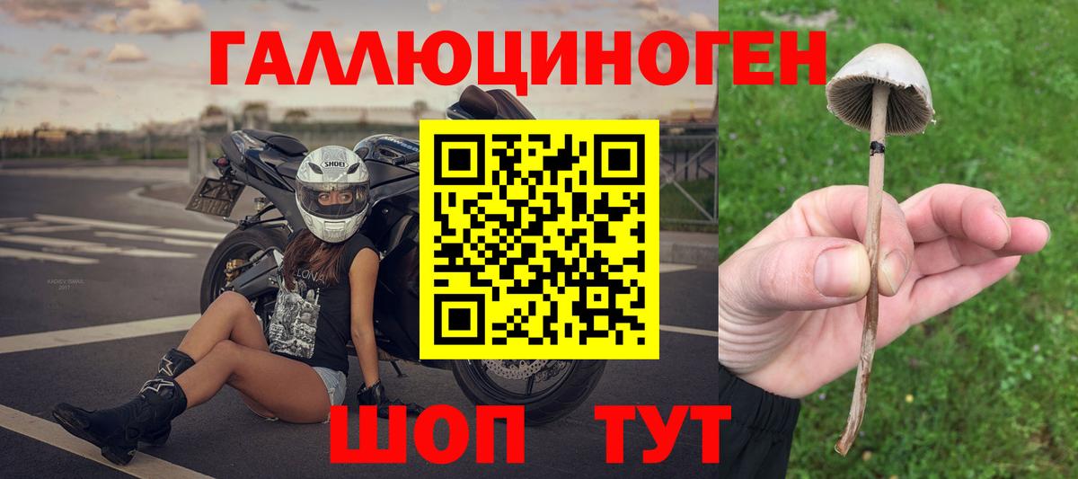 Галлюциногенные грибы MAGIC MUSHROOMS  Вход с VPN  продажа наркотиков  Курчалой  Галлюциногенные грибы ЛСД 