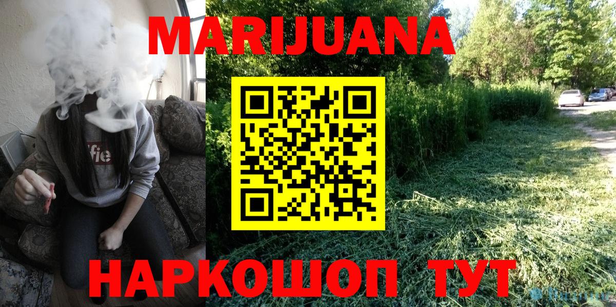 Канабис гибрид Курчалой
